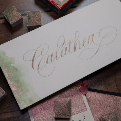 The Creative Kinds/Calligraphy Ink/Single Half Pan Shimmer - Calathea