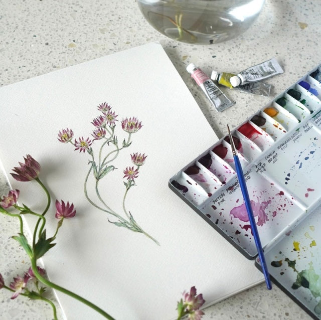 Shiho Sakurai - Botanical Illustration Watercolor Advanced Course November 2024 - April 2025 (3 sessions)