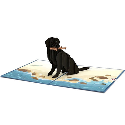 Lovepop/Single Card/Black Lab