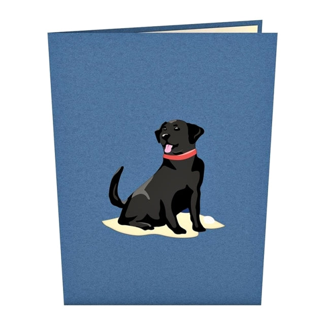 Lovepop/Single Card/Black Lab