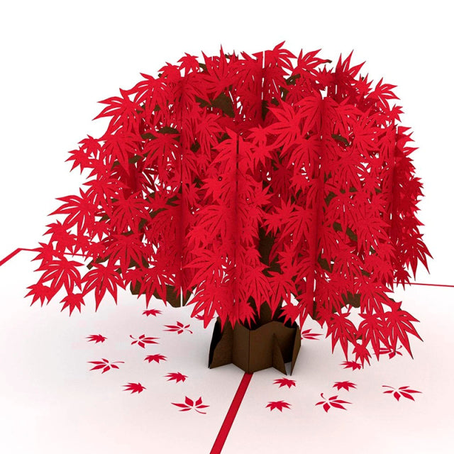 Lovepop/シングルカード/Japanese Maple