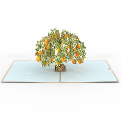 Lovepop/Single Card/Orange Blossom Tree