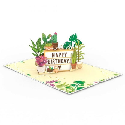 Lovepop/Single Card/Happy Birthday Plants