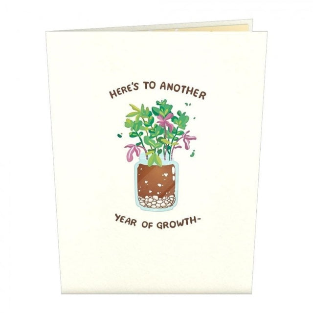 Lovepop/Single Card/Happy Birthday Plants