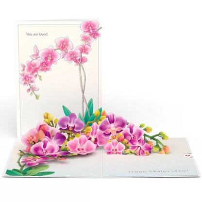 Lovepop/Single Card/Mother's Day Orchid