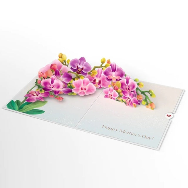 Lovepop/Single Card/Mother's Day Orchid