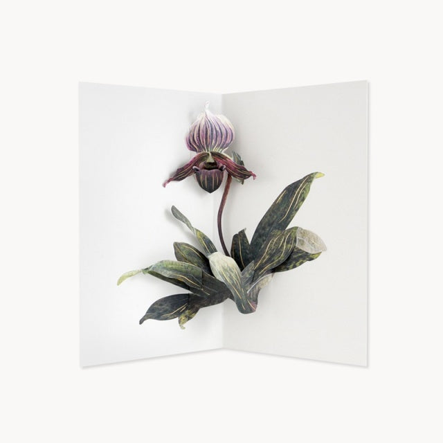 UWP LUXE/Single Card/Lady Slipper Orchid by Hiromi Takeda