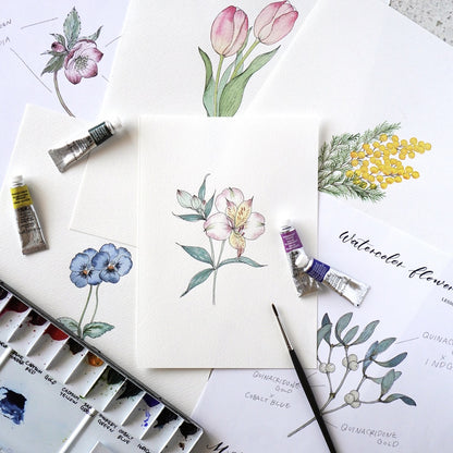 Shiho Sakurai - Botanical Illustration Watercolor Course November 2024 - March 2025 (5 sessions)